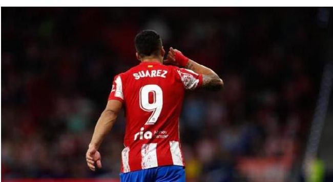 国产一区二区三区免费看