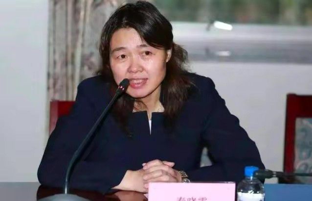 我老婆的妈妈