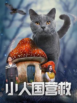 精品欧美高清一区二区免费