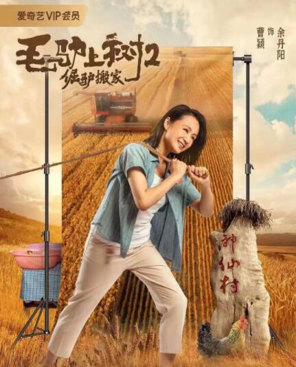 chinesegay网