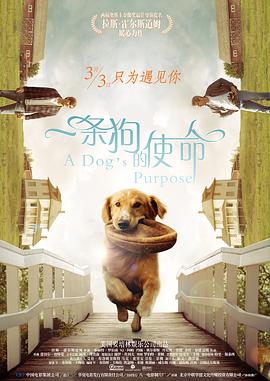 狠狠色狠狠色综合伊人