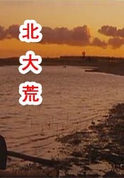 大咪咪dvd