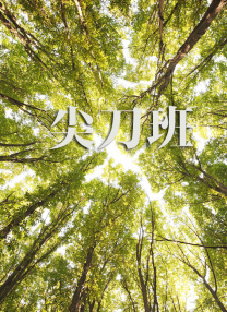 亚洲欧美在线一区