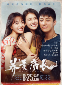 我想把我的乌龟蹭你的扇贝视频
