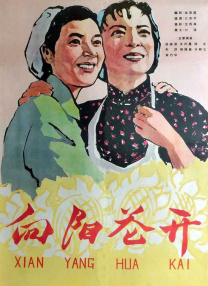 亚洲操图