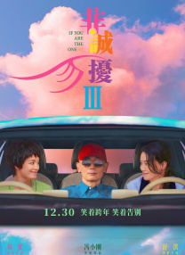 中文精品久久久久国产网站