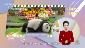 久久精品99久久久久久